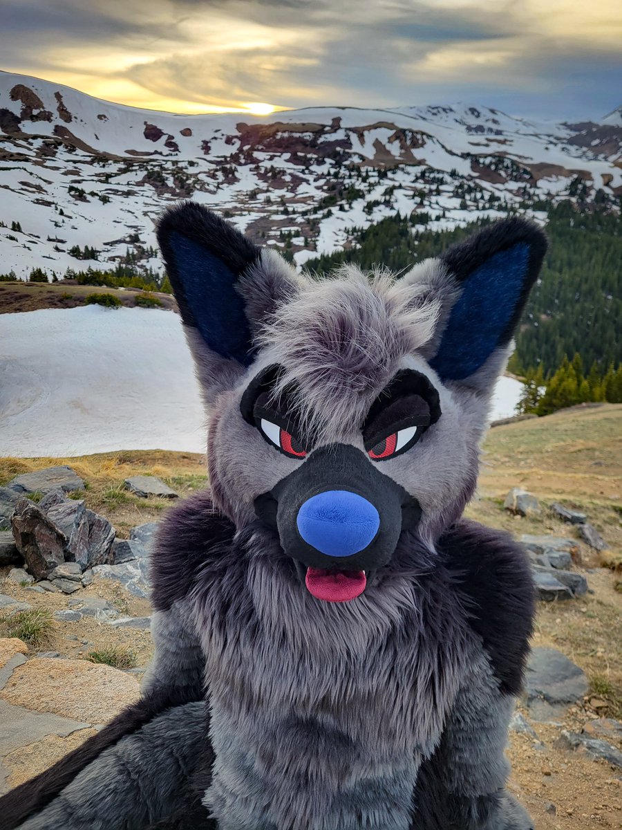 RookaRoo tweet media