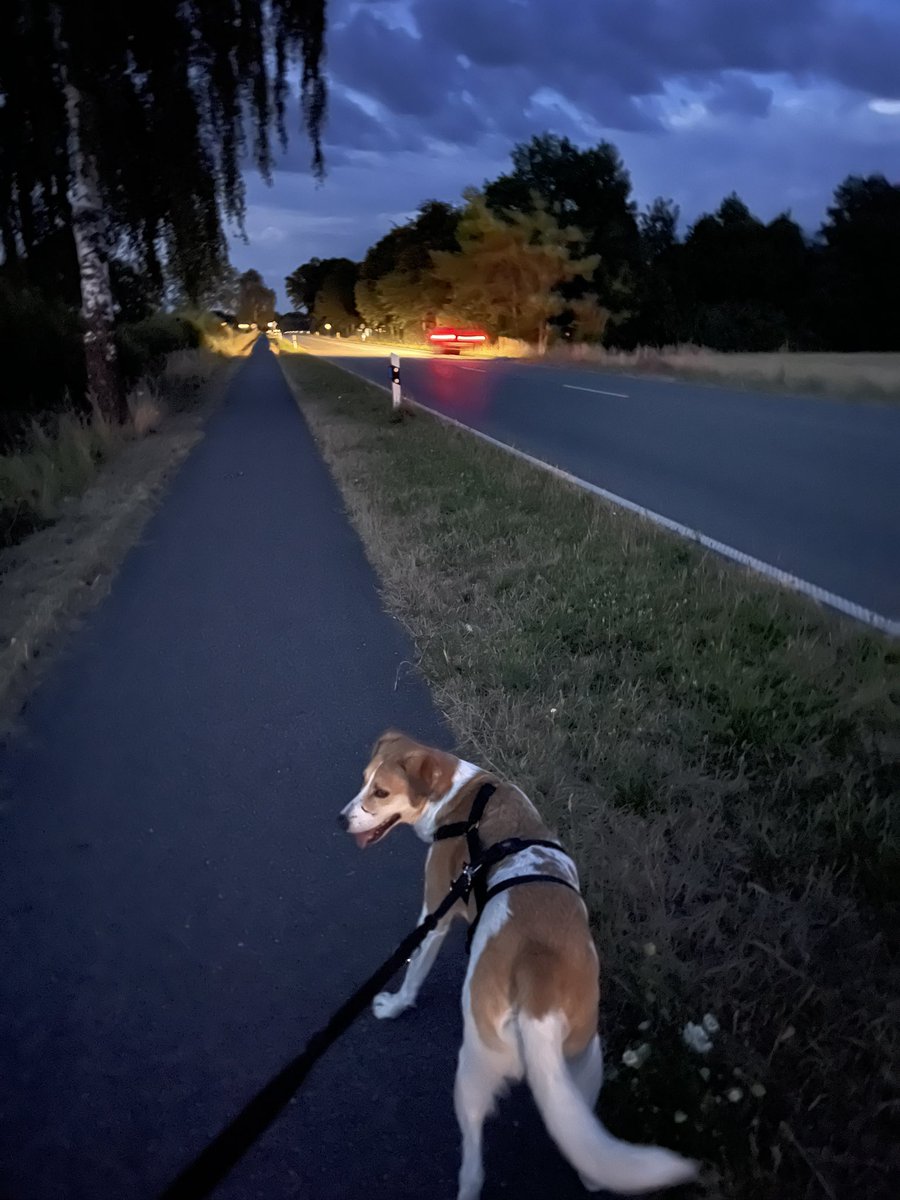 #laendlicherraum Seit einiger Zeit verbringe ich meine Wochenenden total gerne im „ländlichen Raum“ wie man so gerne das Dorf heute bezeichnet. Ich liebe es hier, es gibt mir genau die Energie die ich brauche um die stressige Woche zu überstehen. ❤️#dorf #lastenrad