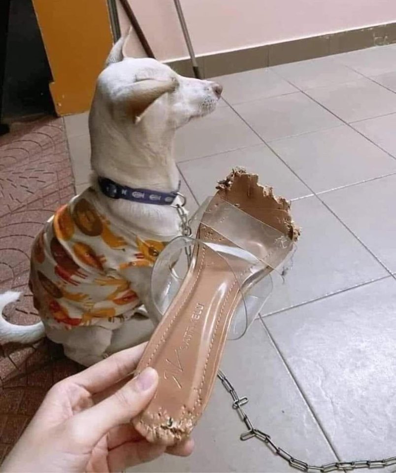 MattoneFabian's tweet photo. No diré nada hasta que llegue mi abogado 🤣🤣🤣 https://t.co/aB5t9Wy2hY