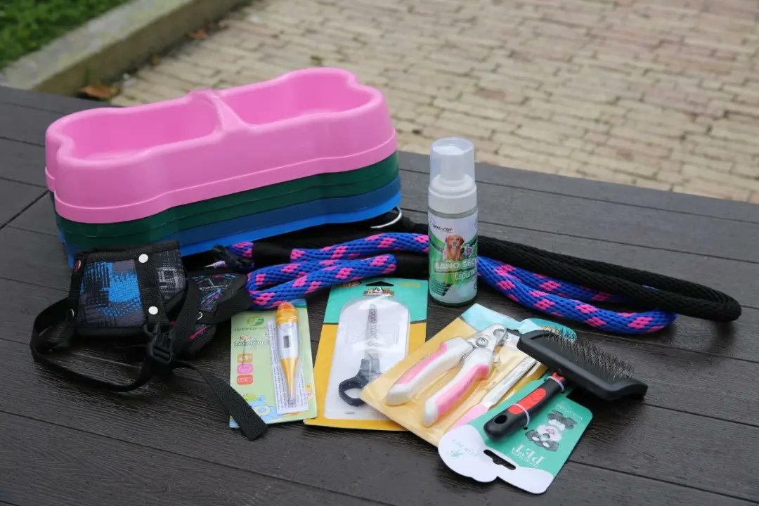subaalcaldia's tweet photo. 🐶😻Hoy, conformamos la Red Local de Proteccionistas de Animales de Suba, RELPAS, para atender animales en condición de vulnerabilidad.
💪Entregamos kits de insumos para hogares de paso y fortalecemos acciones con otras entidades y con proteccionistas locales.
#DeLaManoConSuba https://t.co/qL5aLJxuSY