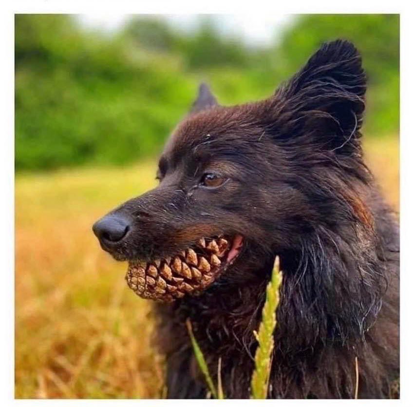 Saw this and had to do a double take