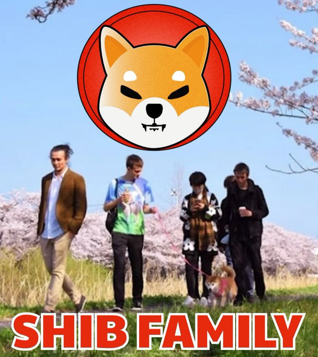 I follow everyone who is addicted to $SHIB