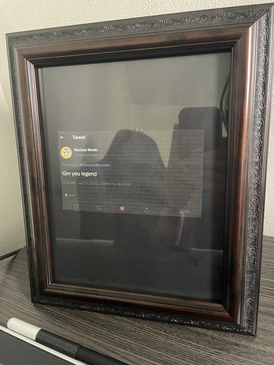 Kooy_Creates's tweet image. Real recognize real, framed and setup on my computer desk 🙌 #nerd4life