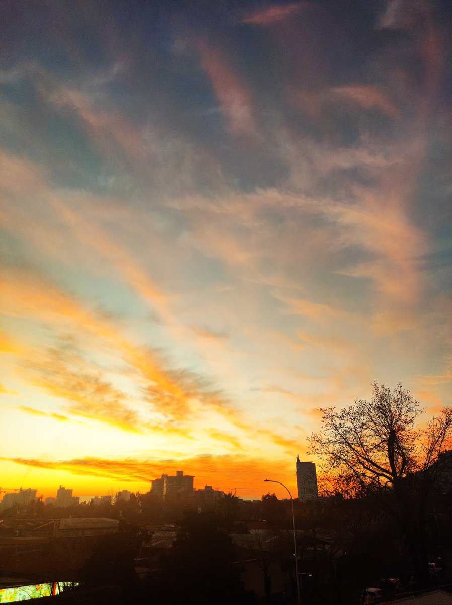 Ana-bólica (@afrorazes) on Twitter photo 