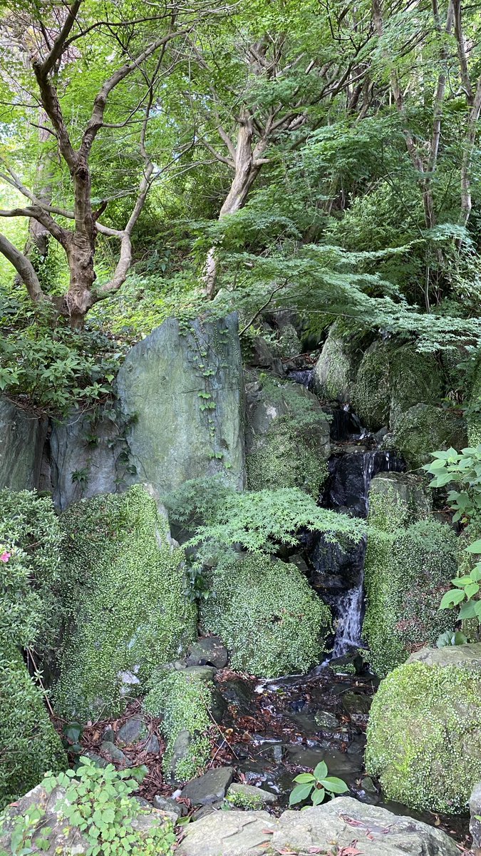 磐田バイパス Twitter Search Twitter