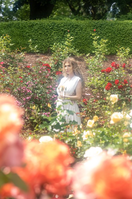 Two blossoms on a single branch🌹 https://t.co/ho3A1qx6hz