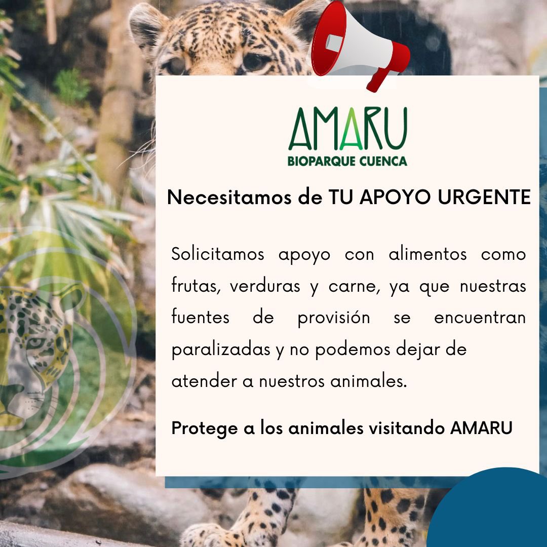 tomebamba's tweet photo. El Bioparque Amaru de #Cuenca atraviesa una situación difícil para su sostenibilidad.
Solicita apoyo económico y de alimentos: https://t.co/WrQmYQegrH
