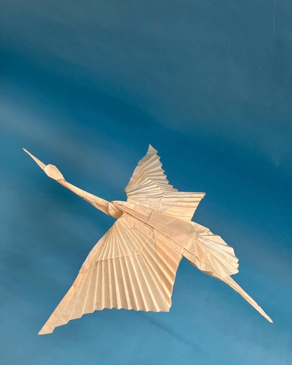 OrigamiBrasil's tweet photo. RT @eichi_origami: Crane
Designed and folded by me
June 23, 2022
鶴
自身の創作
コルソヤードの紙を使いました❗️
#crane #鶴
#origami #折り紙
#11yearsold #11歳
#corsoyard https://t.co/n9nKAVP4wZ