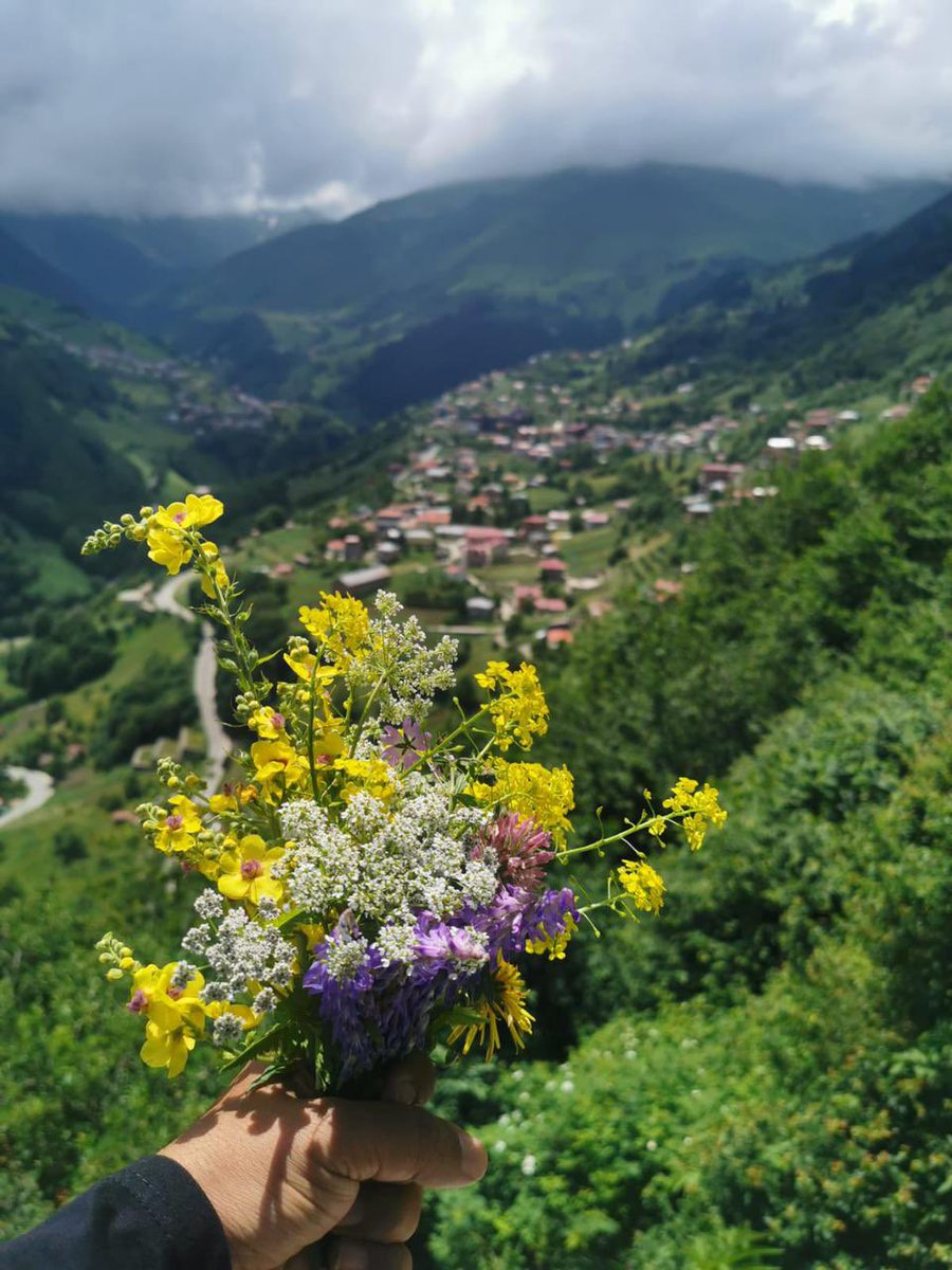 محمد السالم tweet media