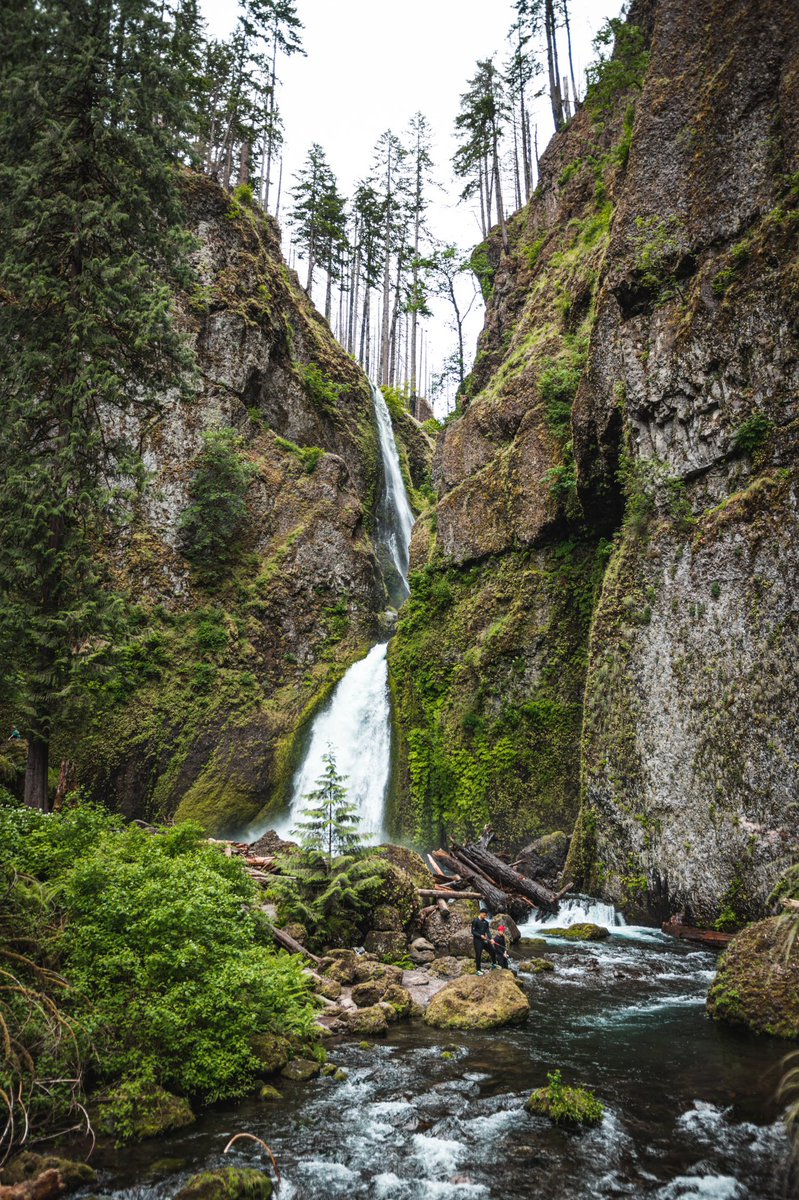 Mathias Stendorf Neumann (@mstendorf) on Twitter photo That's a wrap! First time in the US and first international conference! 🇺🇸
I've had an amazing time exploring Oregon with <a href="/TheMadsLarsen/">Mads Christian Larsen</a> <a href="/BahringSteffen/">Steffen Bähring</a> and Sofie, and then attending the <a href="/ismsc2022/">ISMSC 2022</a>.
Can't wait to be back in the US in two month when I'll visit <a href="/floodgroup_iub/">Flood Group</a> That's a wrap! First time in the US and first international conference! 🇺🇸
I've had an amazing time exploring Oregon with <a href="/TheMadsLarsen/">Mads Christian Larsen</a> <a href="/BahringSteffen/">Steffen Bähring</a> and Sofie, and then attending the <a href="/ismsc2022/">ISMSC 2022</a>.
Can't wait to be back in the US in two month when I'll visit <a href="/floodgroup_iub/">Flood Group</a>