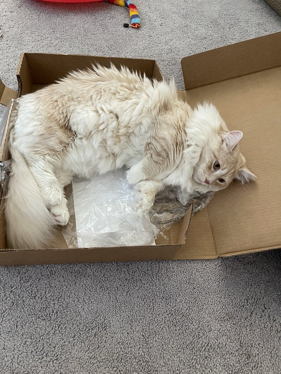 Look who came in the mail today