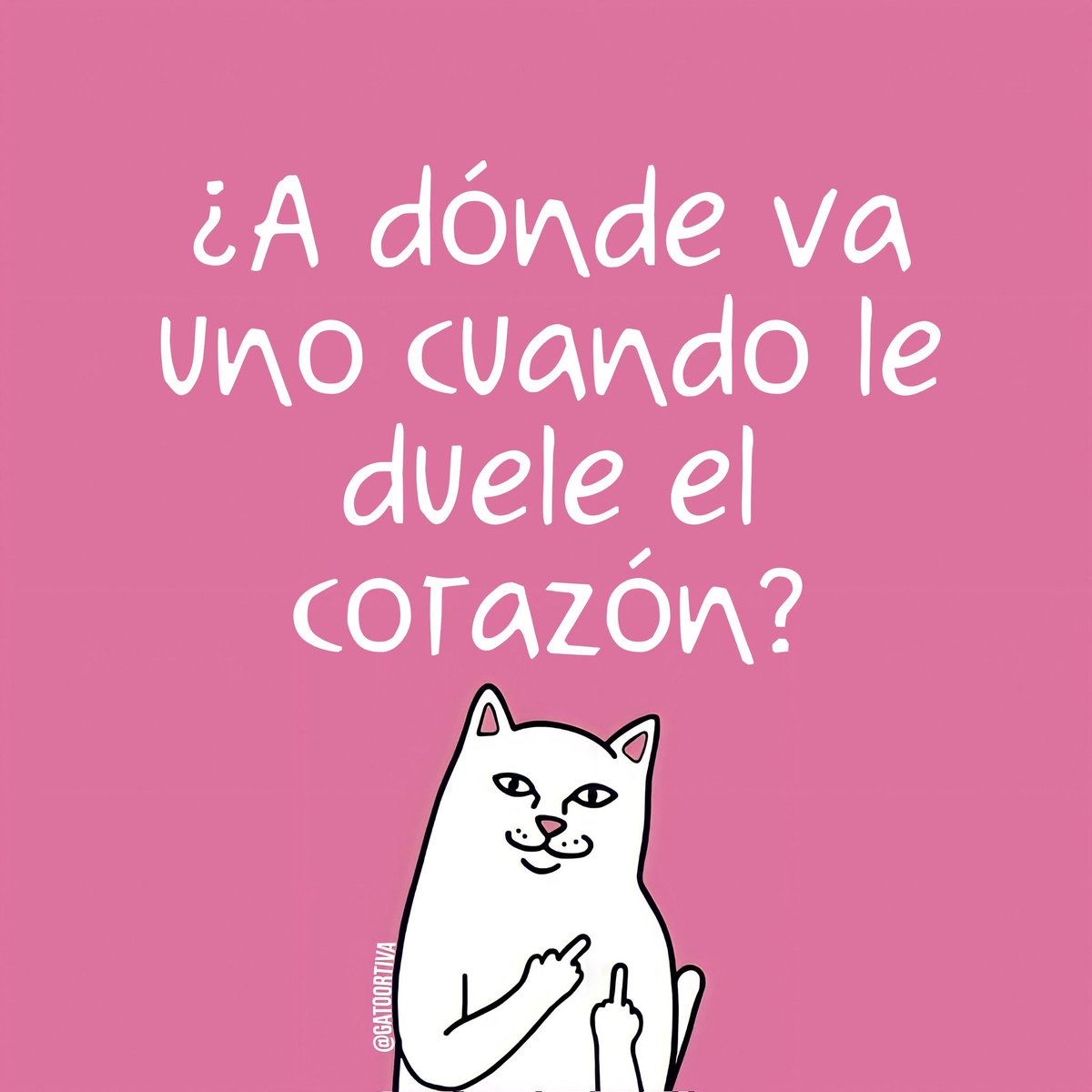 Gato Ortiva (@elgatoortiva) on Twitter photo 