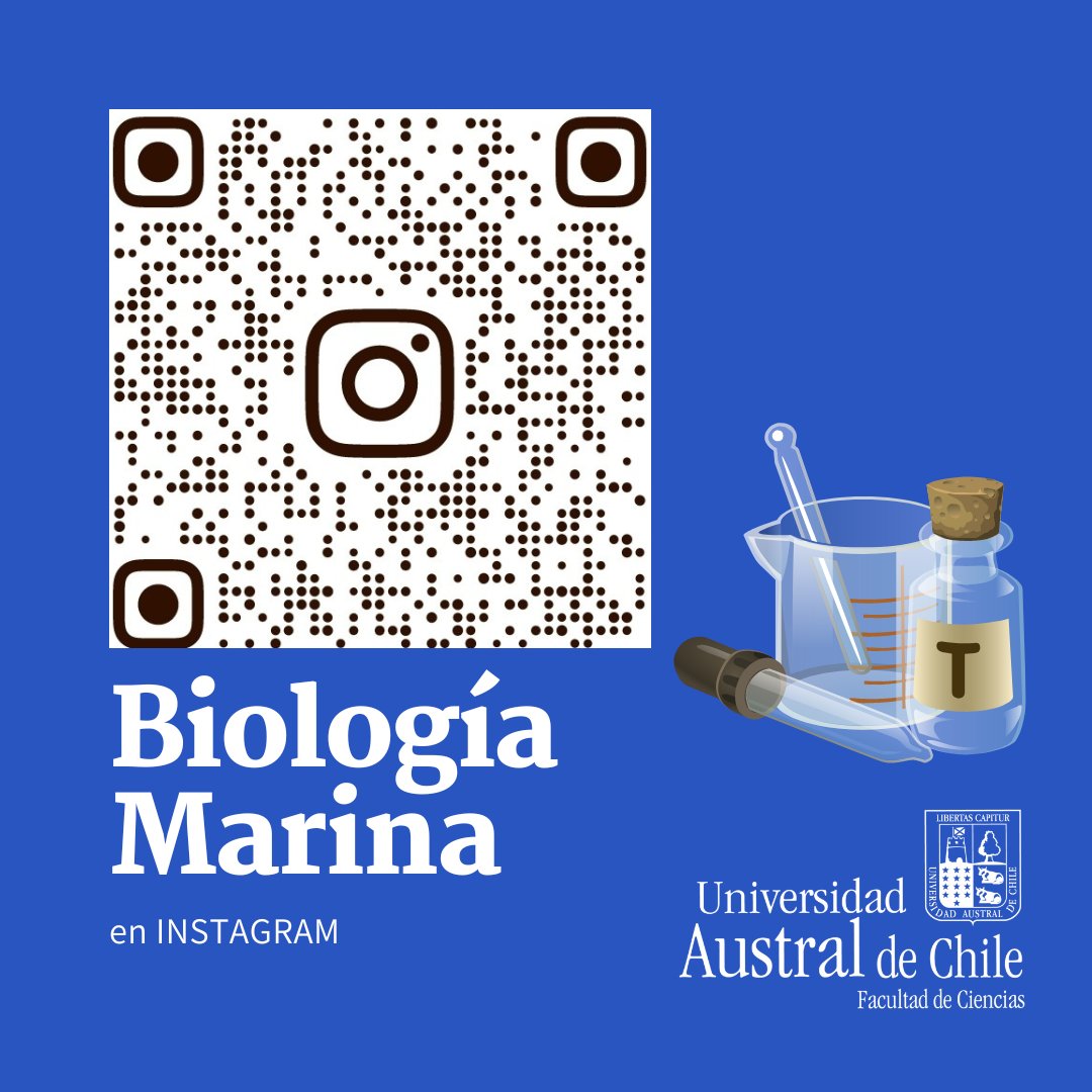 Qué hace un #BiologoMarino?
Qué estudia un Biólogo Marino?
En qué se desarrolla un Biólogo Marino desde la perspectiva de un estudiante de la <a href="/UAustraldeChile/">Universidad Austral de Chile</a>
Te lo podemos mostrar en la cuenta de Intagram escaneando el qr.
<a href="/UAChAdmision/">Uach Admision</a>
#quenadadetengatuspasos
#ciencia