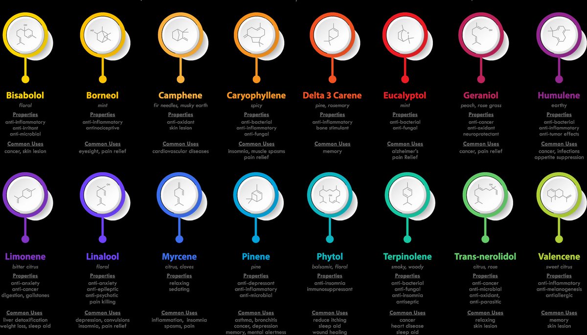 💚𝑯𝒊𝒈𝒉𝕋𝕨𝕖𝕖𝕕𝕤.eth💚 tweet media