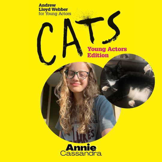 dmradventures's tweet photo. It's closing night with another sold out show and time to meet the rest of our cast of Andrew Lloyd Weber's CATS Young Actors Edition!

#YoungActorsEdition #AndrewLloydWebber #CATStheMusical #KittensintheWild #DMRAdventures #BelmontArtsCollaborative #BAC #DMRSummerIntensive https://t.co/gOWXy9XNAQ