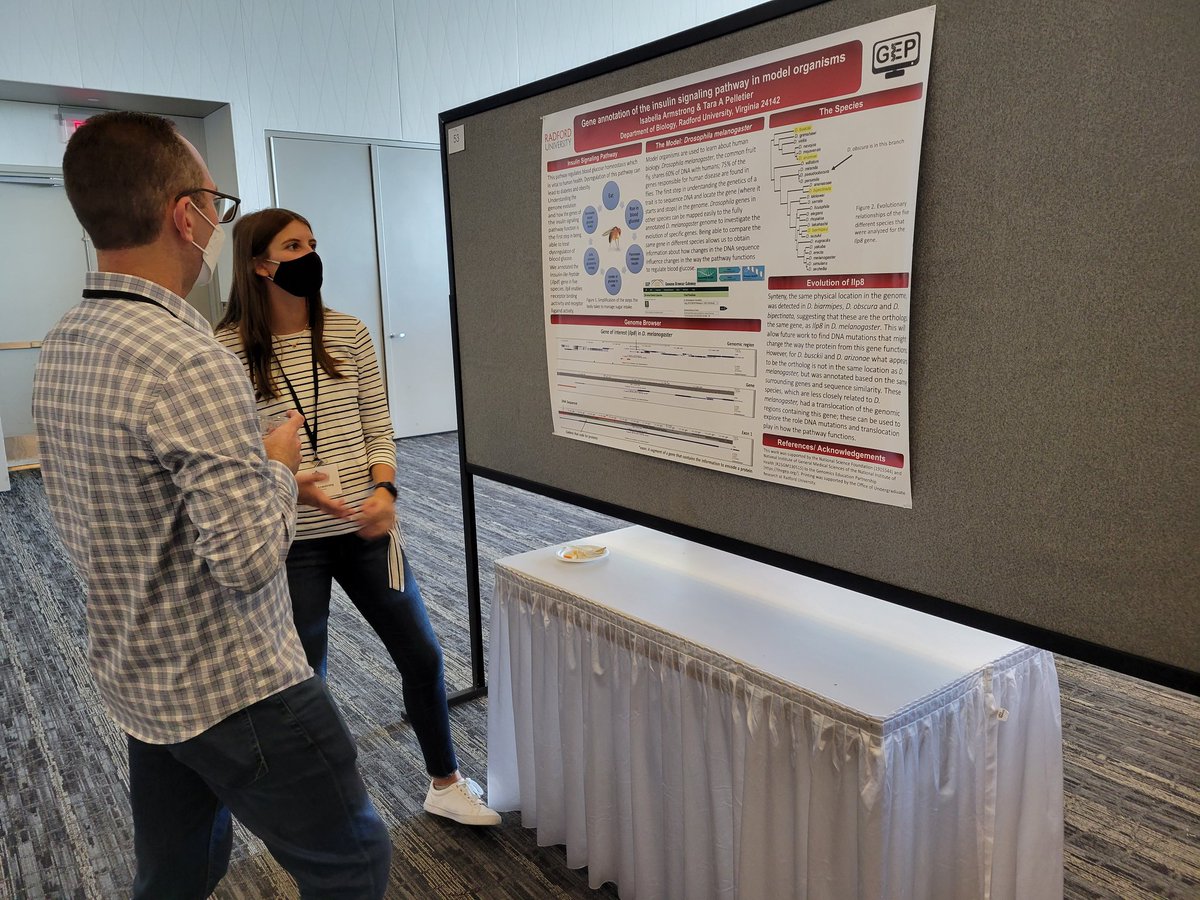 taraapelletier's tweet image. Undergraduate Izzy Armstrong presenting her @GEP_CURE annotations at Evolution! @radford_biology @RadfordHonors