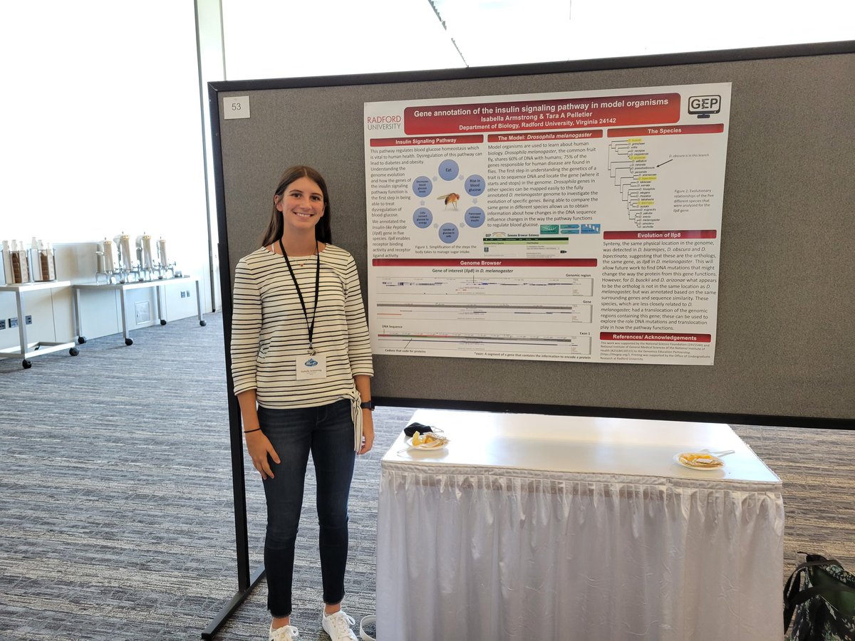 taraapelletier's tweet image. Undergraduate Izzy Armstrong presenting her @GEP_CURE annotations at Evolution! @radford_biology @RadfordHonors