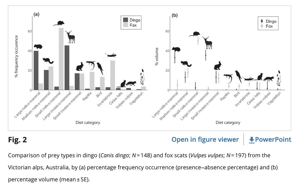 Prof. Euan Ritchie (@euanritchie.bsky.social) (@euanritchie1) on Twitter photo Congratulations, <a href="/EilyshThompson/">Eilysh Thompson</a>! 🎉🥳💃
Your first PhD paper, now published in <a href="/AustralEcology/">#AustralEcology</a>.
'Interspecific variation in the diet of a native apex predator and invasive mesopredator in an alpine ecosystem' onlinelibrary.wiley.com/doi/10.1111/ae… Congratulations, <a href="/EilyshThompson/">Eilysh Thompson</a>! 🎉🥳💃
Your first PhD paper, now published in <a href="/AustralEcology/">#AustralEcology</a>.
'Interspecific variation in the diet of a native apex predator and invasive mesopredator in an alpine ecosystem' onlinelibrary.wiley.com/doi/10.1111/ae…