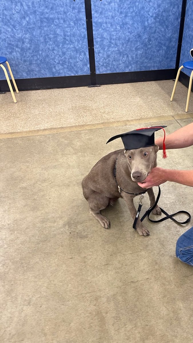 C2jNote's tweet image. My little girl graduated 1st grade today! Top of her class(self proclaimed).