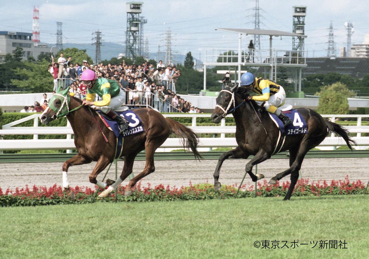 東スポ競馬 on X: