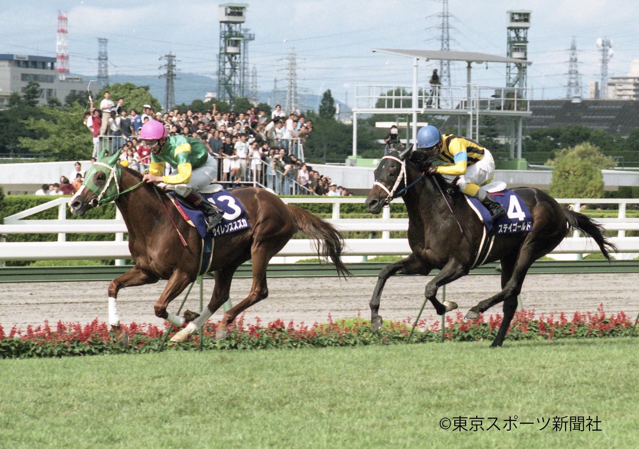 東スポ競馬 on X: 東スポ競馬 on X: