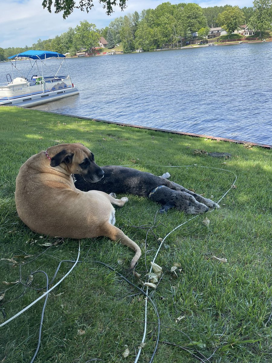 Douglas Bellah tweet media