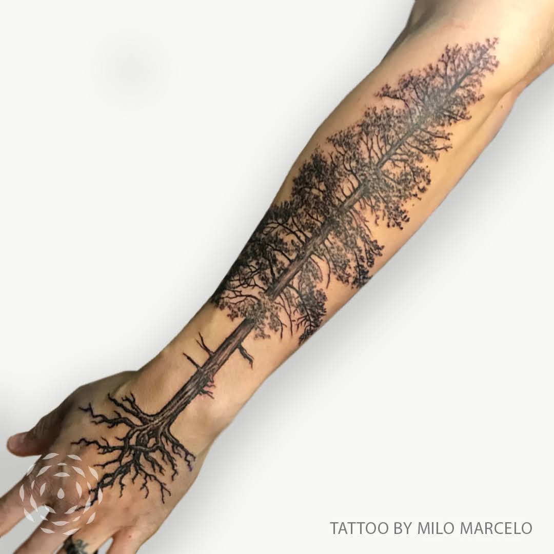 Liquid Amber Tattoo tweet media