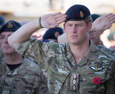 MauvCoui's tweet image. #ArmedForcesDay2022 
#PrinceHarry  the great prince 
#ServiceIsUniversal