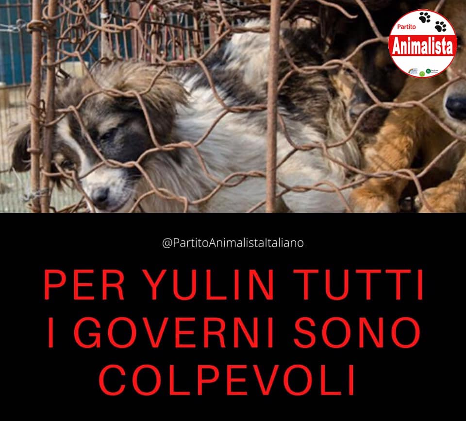BLACKRED63's tweet photo. Una vergogna indelebile per tutta l'umanità ... https://t.co/uLzeKx9bQS
