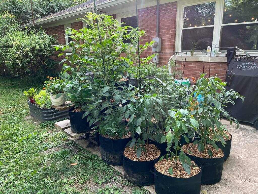 Levi McGranahan tweet media