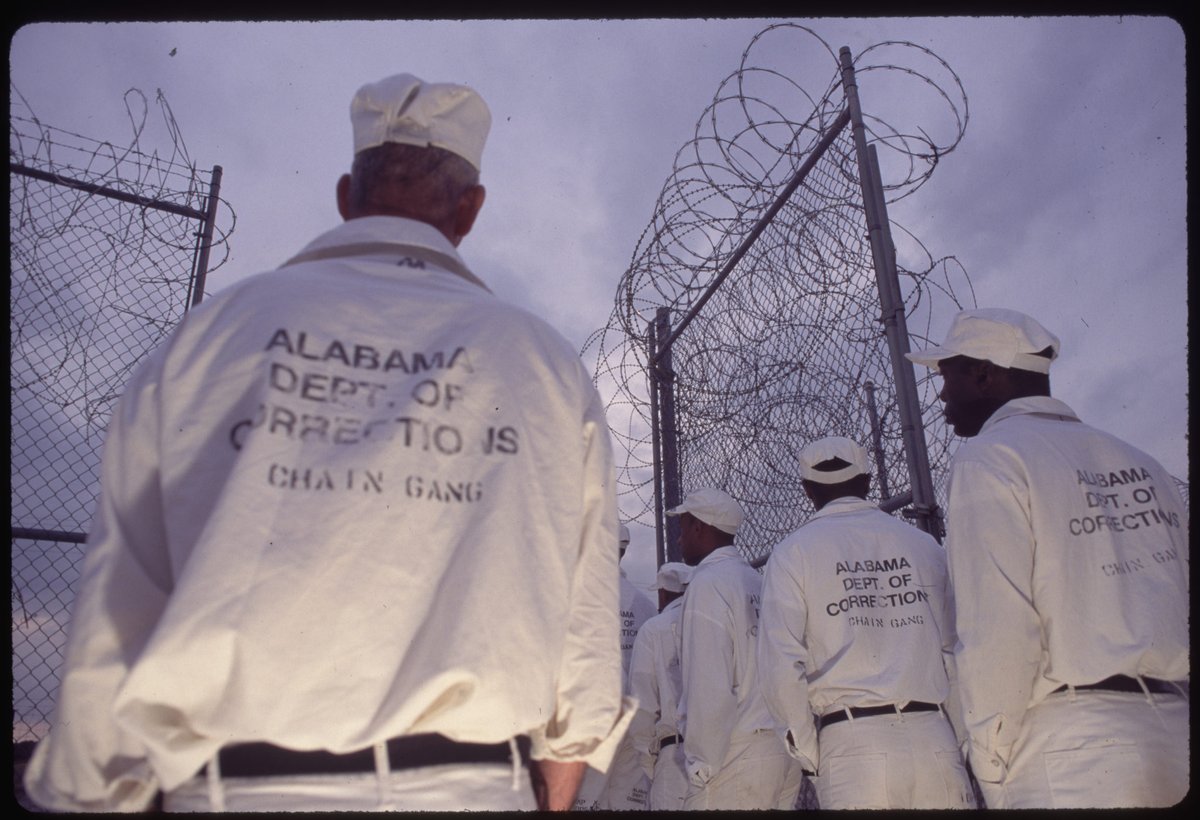 NAACP_LDF's tweet image. Since the Thirteenth Amendment’s passage in 1865, its exception clause has enabled slavery to persist for generations through punitive systems. 

Today, there are still incarcerated Black Americans picking crops on plantations across the country.
naacpldf.org/13th-amendment…