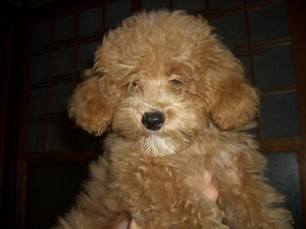 Ash Ash0619toy Twitter