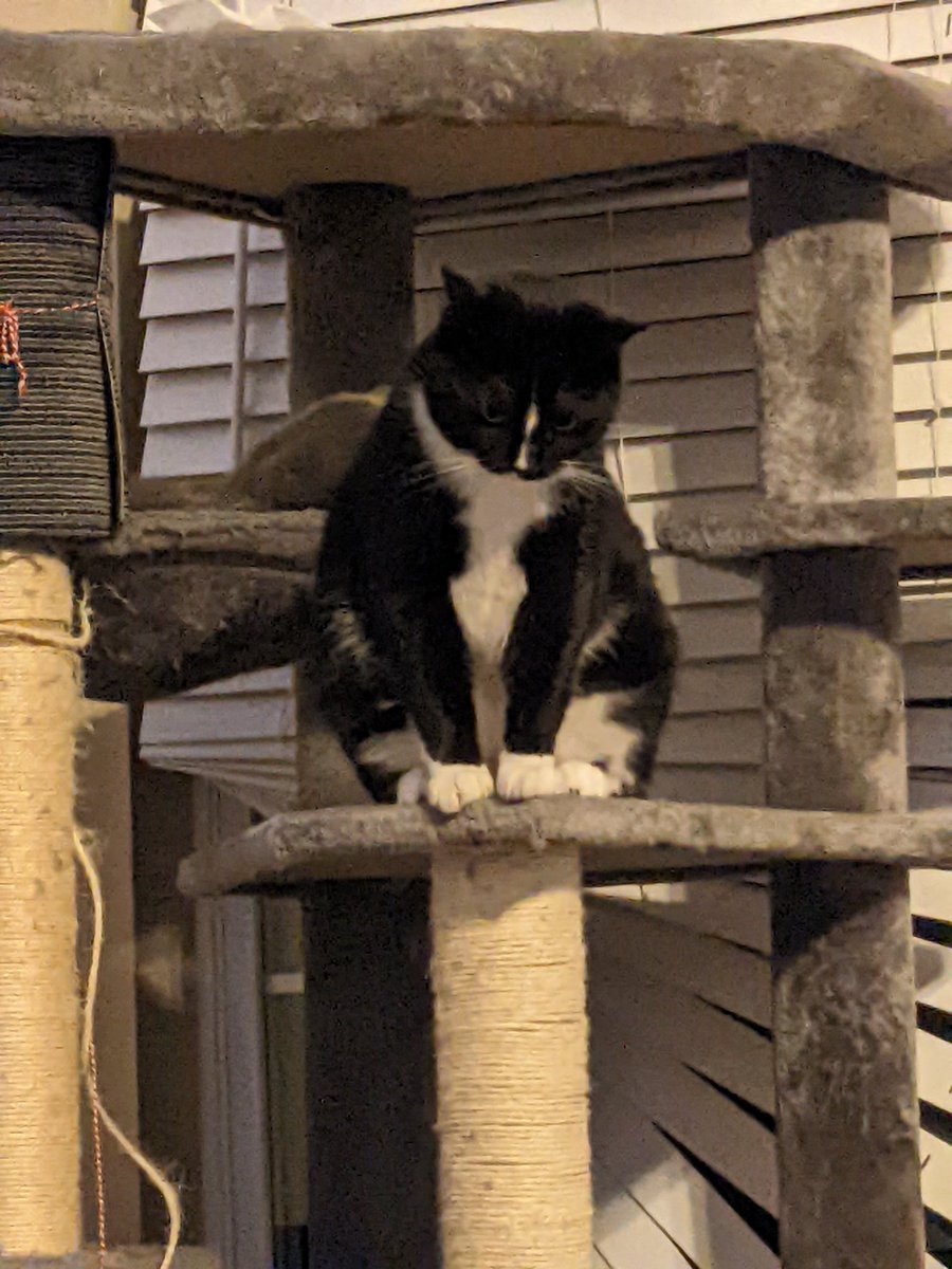 Brent Coffin tweet media