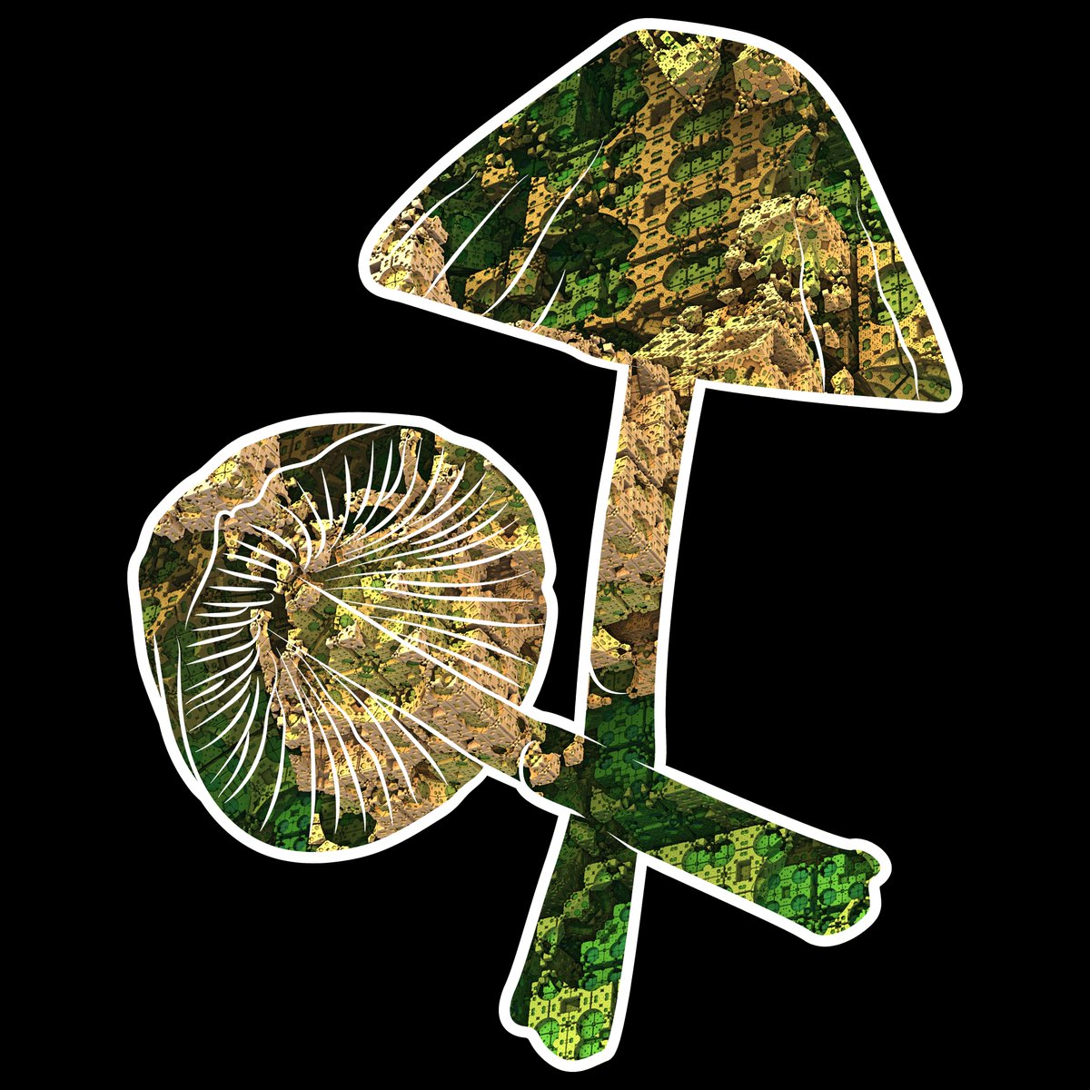 FractalFungi's tweet photo. Panaeolus Semiovatus - Generally inedible even though they are non-poisonous. Other common names are shiny mottlegill, or egghead mottlegill. #NFT $ETH https://t.co/gmGhgNRDLr