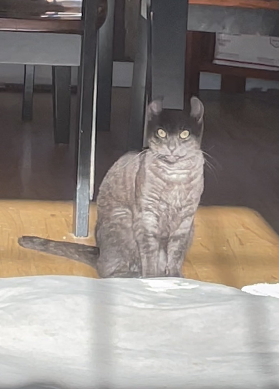 FWJ7LJAXoAI91q8?format=jpg&name=large