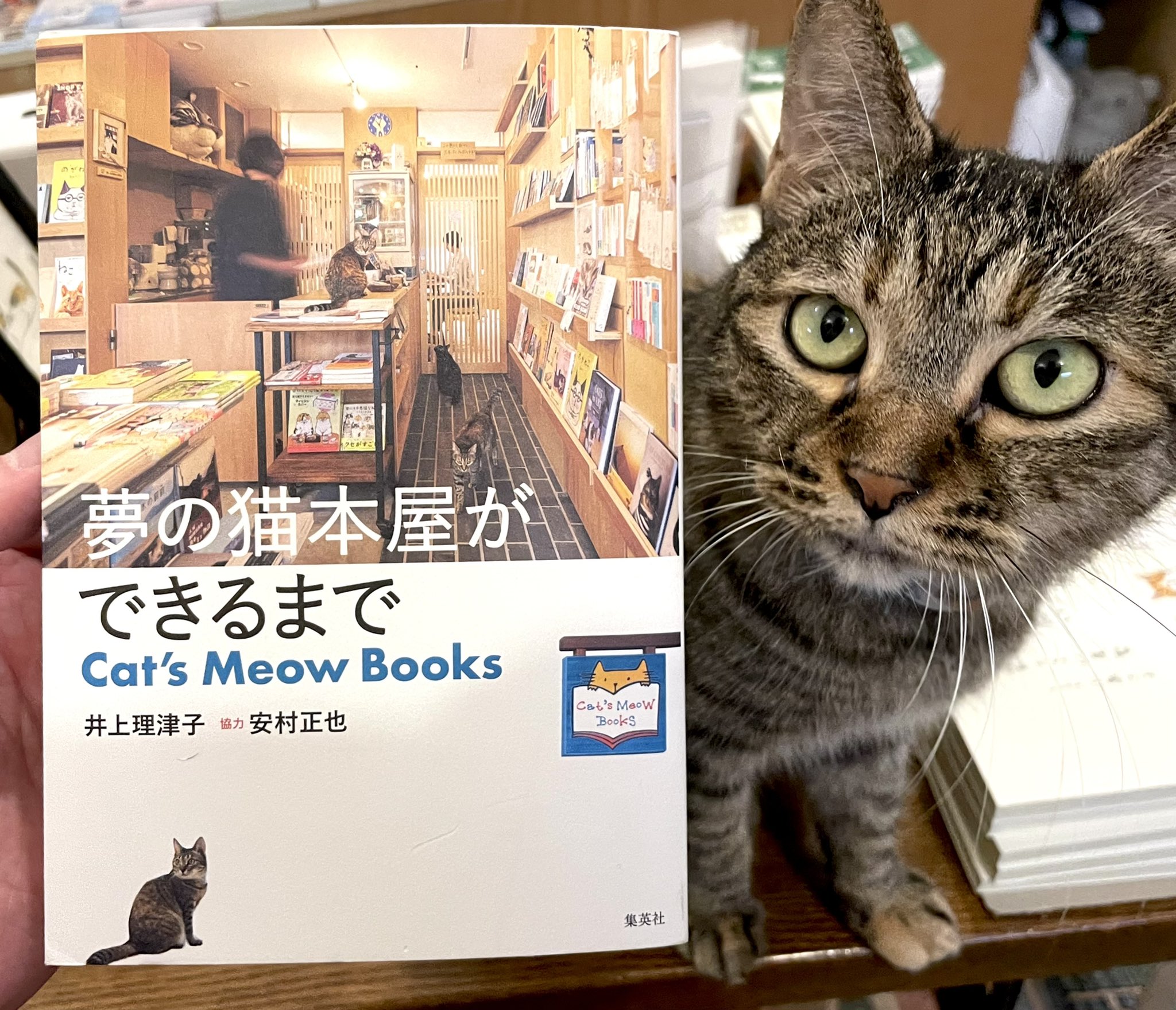 キャッツミャウブックス® on Twitter "『夢の猫本屋ができるまで Cat's Meow Books』の当店にある新品はおかげさまで