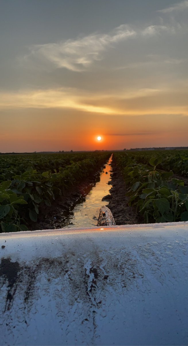 Colin Phillips tweet media