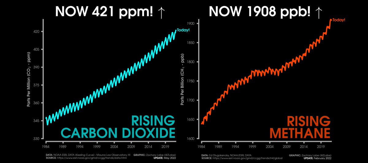 ZLabe's tweet image. ICYMI - the latest observations of carbon dioxide (CO₂) and methane (CH₄)... 🫠

[For more data/info: gml.noaa.gov/ccgg/]