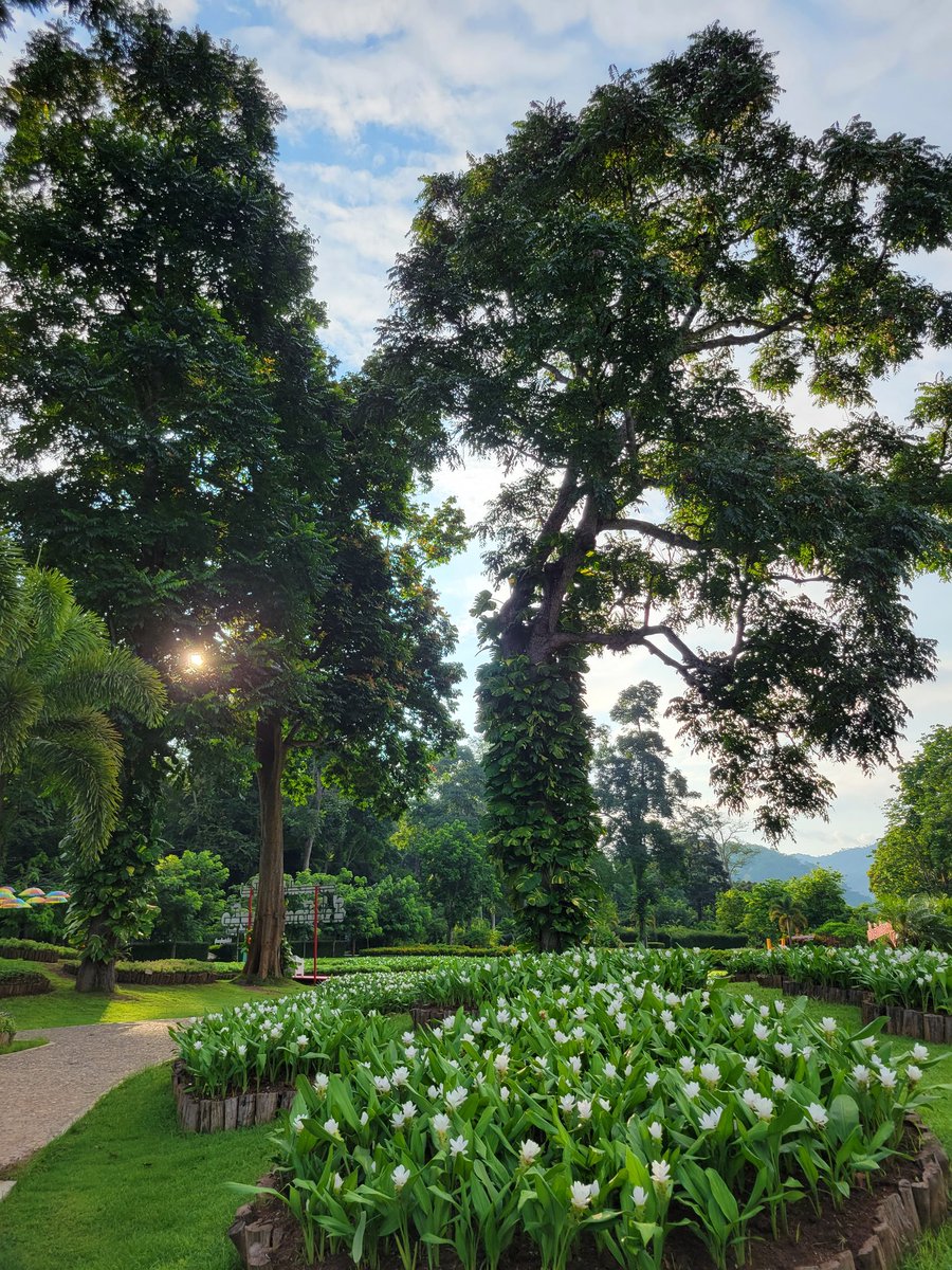 Nita🌸 tweet media