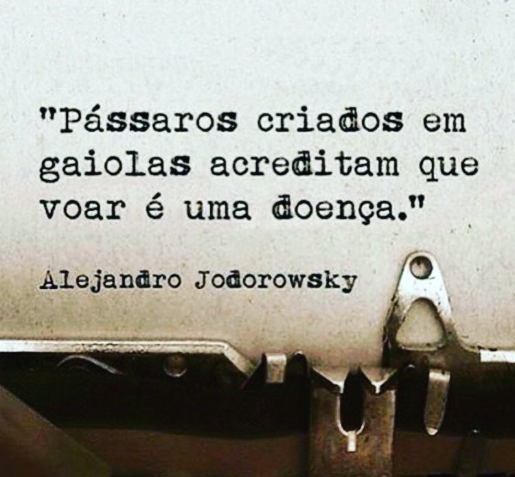 Adelmao2segund1's tweet photo. https://t.co/92pKNV62ly