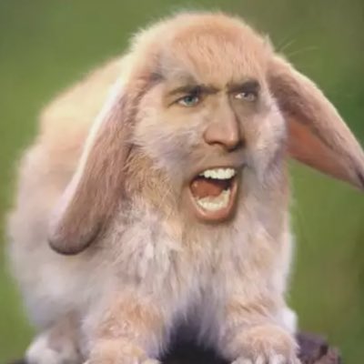 xPaperHeartz's tweet photo. #NewProfilePic https://t.co/qpZmziwzIA