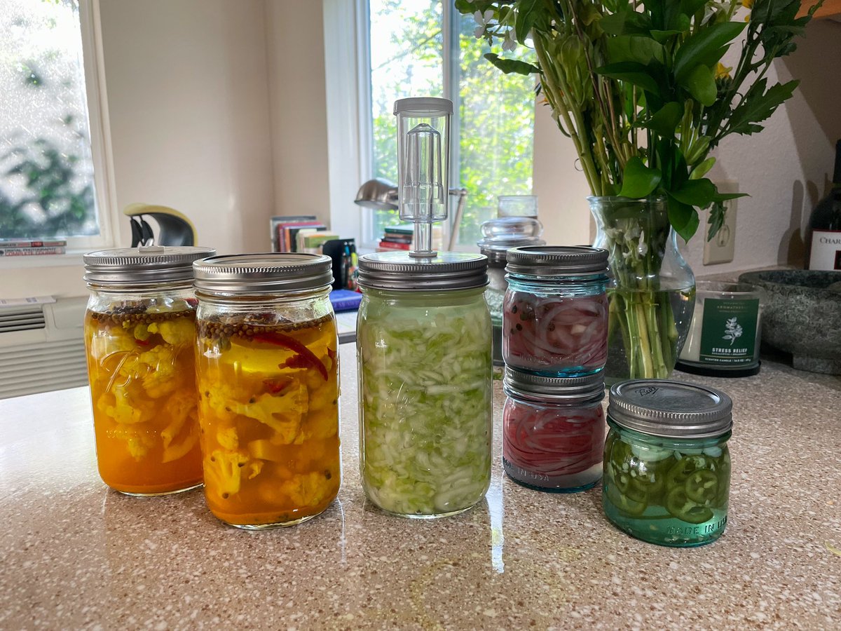 MadisonTemmel's tweet image. Now that’s beautiful.