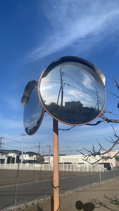 撮った写真とそれを元に描いた絵 