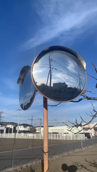 撮った写真とそれを元に描いた絵 