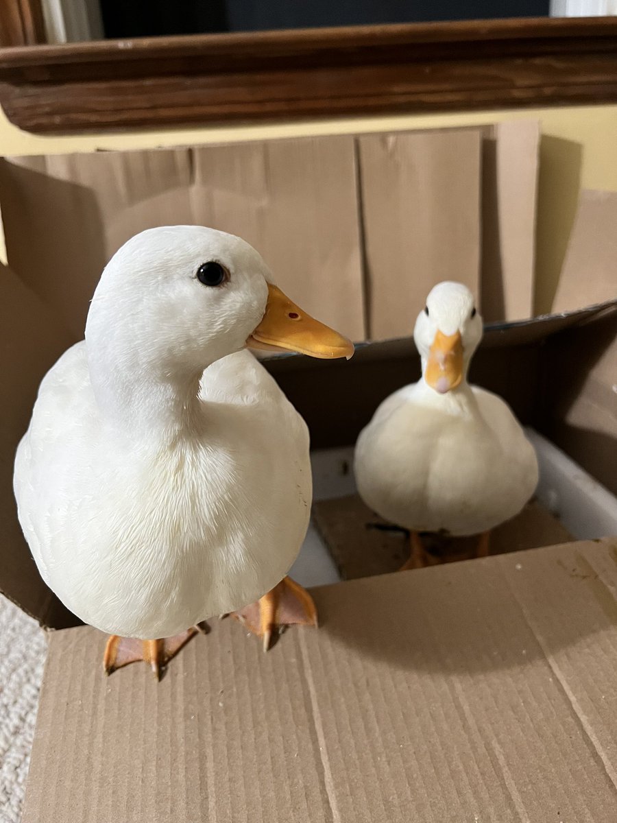 Any possibilities to catch the guy hit and run?