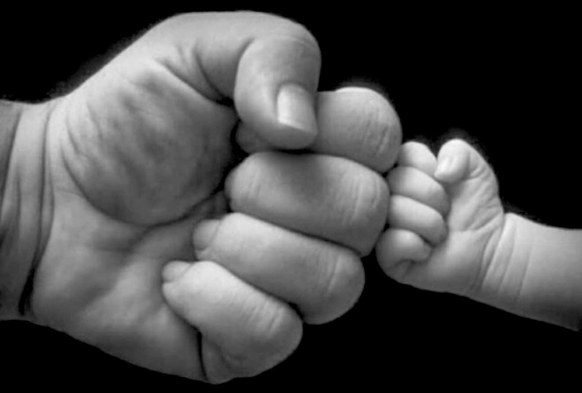 DanScavino's tweet image. 