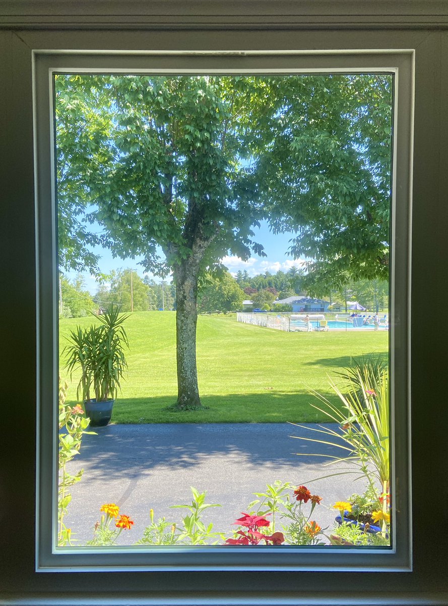 Lukan's Farm Resort tweet media