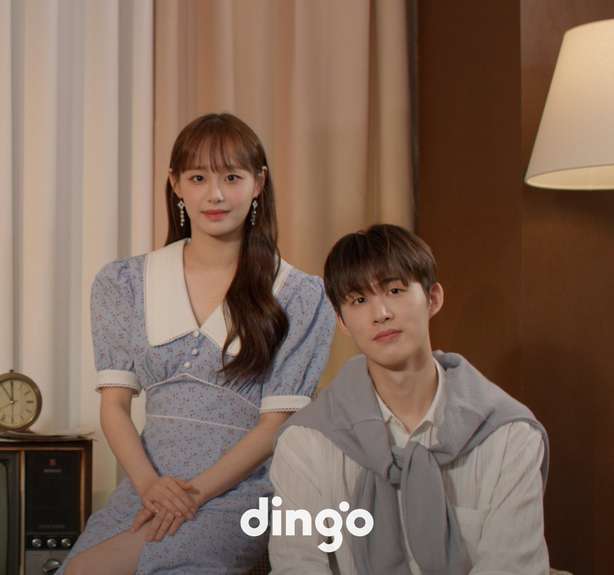 dingo_official tweet picture