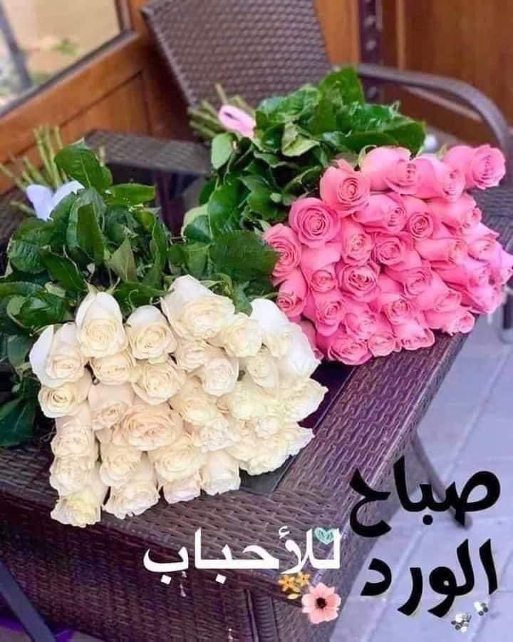 @aaziz2020111 @N2QpXmyTnFxFBNl @yara2079 @HhkzkaPM11mdnL2 @manal_p9 @reem_oo99 @nadaaAlhussainy @dloooooo2022 @LamarEzzaydi @dymaa_1 @Radwa_Tarek12