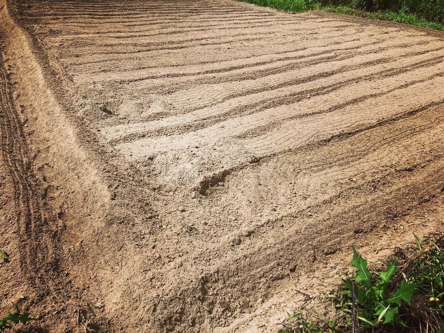 Farm Park Route66 Chiaki Kageyam 去年の今頃から水はけ土質最悪だった圃場に緑肥や雑草を山積み にしてブルーシートで覆い発酵させて耕運の際に籾殻堆肥散布 準備に1年かかったけどかなり改善されました さて定植作業進めますか Farmparkroute66